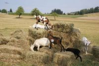 Teammitglieder in der Pause